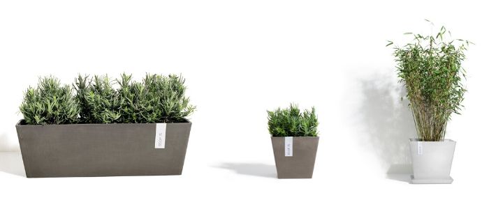 ECOPOTS buitenpotten - Sels Evergreen