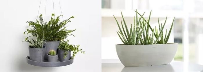 ECOpots - Sels Evergreen