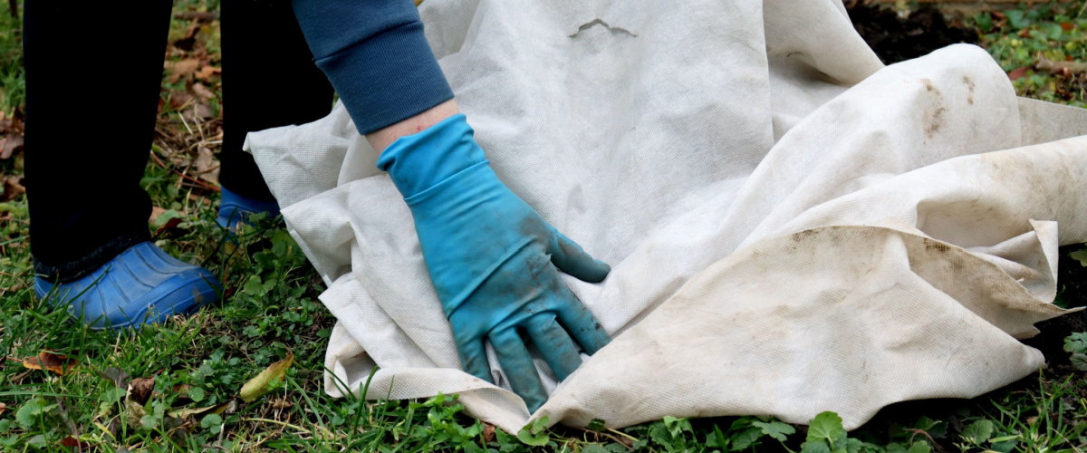 Planten beschermen tegen vorst - Sels Evergreen