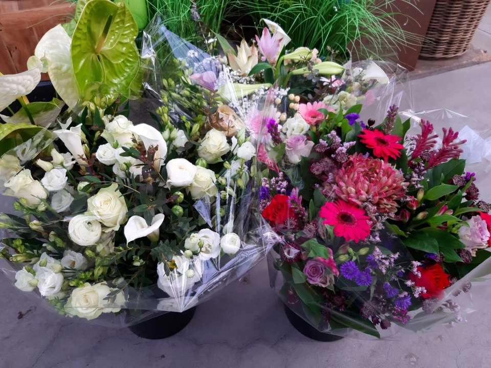Bloemen - Sels Evergreen