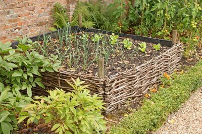 Begin een moestuin(bak)