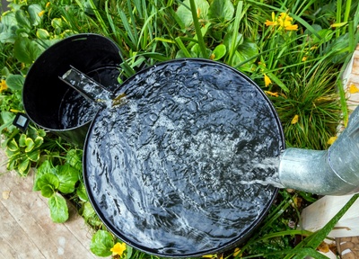 Toptips voor tuin- en potplanten bij extreme droogte