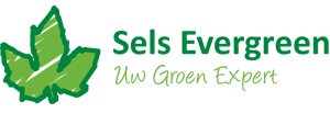 Sels Evergreen